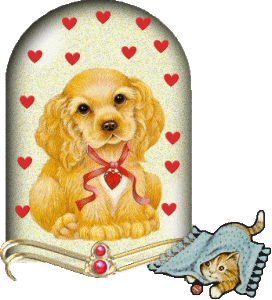 Image h�berg�e par Casimages.com : votre h�bergeur d images simple et gratuit