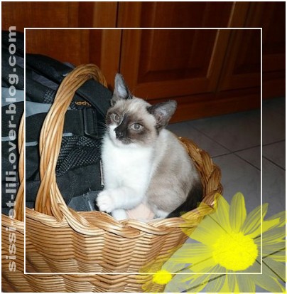 Image hébergée par Casimages.com : votre hébergeur d images simple et gratuit