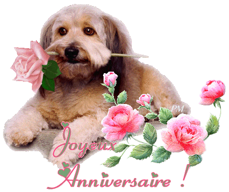 Image h�berg�e par Casimages.com : votre h�bergeur d images simple et gratuit