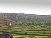 hauts-plateaux