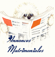 voir l'image en taille réelle