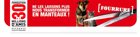 voir l'image en taille réelle