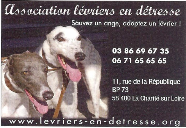 voir l'image en taille réelle