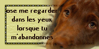 voir l'image en taille réelle