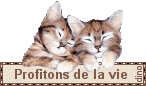voir l'image en taille réelle