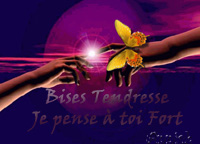 voir l'image en taille réelle