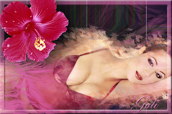 Image hébergée par Casimages.com : votre hébergeur d images simple et gratuit