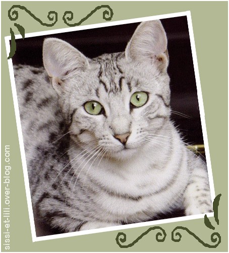 Image hébergée par Casimages.com : votre hébergeur d images simple et gratuit