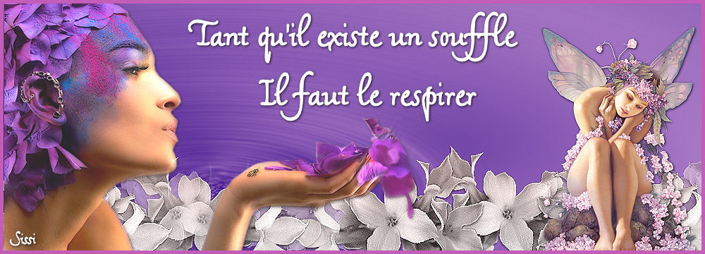 Image hébergée par Casimages.com : votre hébergeur d images simple et gratuit