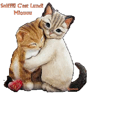 Image h�berg�e par Casimages.com : votre h�bergeur d images simple et gratuit