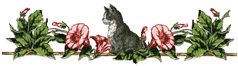 Image hébergée par Casimages.com : votre hébergeur d images simple et gratuit