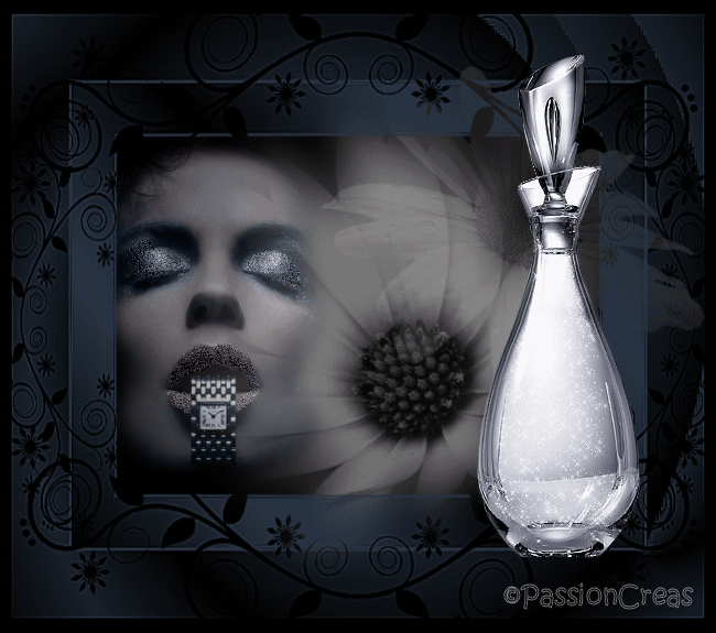 Image hébergée par Casimages.com : votre hébergeur d images simple et gratuit