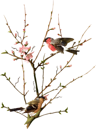 Image hébergée par Casimages.com : votre hébergeur d images simple et gratuit