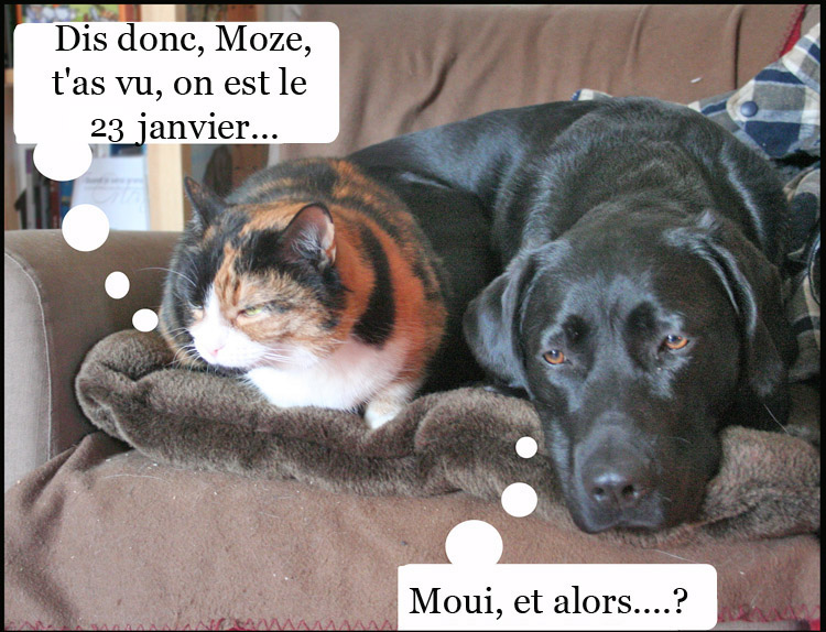 Image h�berg�e par Casimages.com : votre h�bergeur d images simple et gratuit
