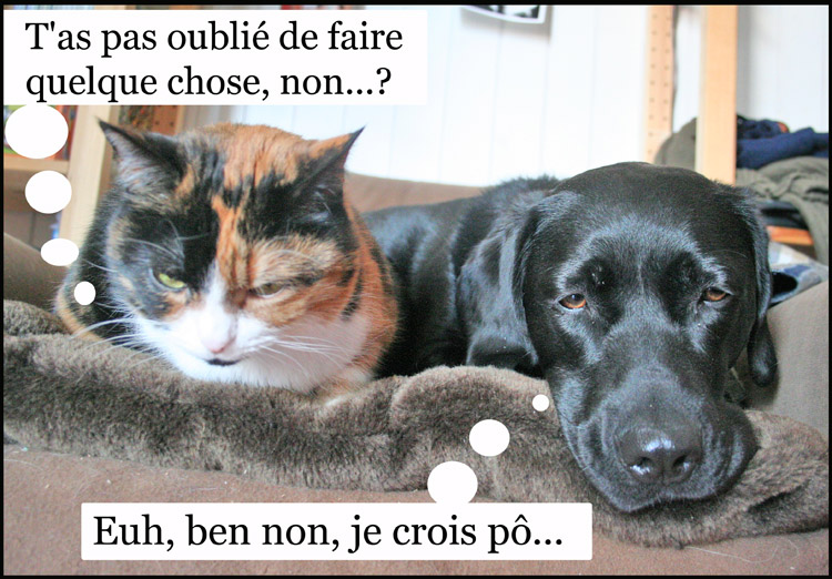 Image h�berg�e par Casimages.com : votre h�bergeur d images simple et gratuit