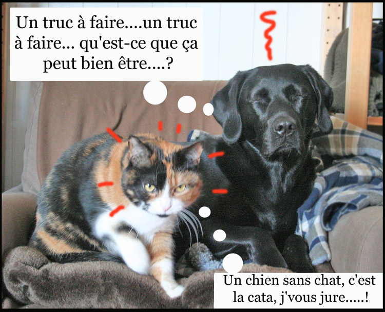 Image h�berg�e par Casimages.com : votre h�bergeur d images simple et gratuit