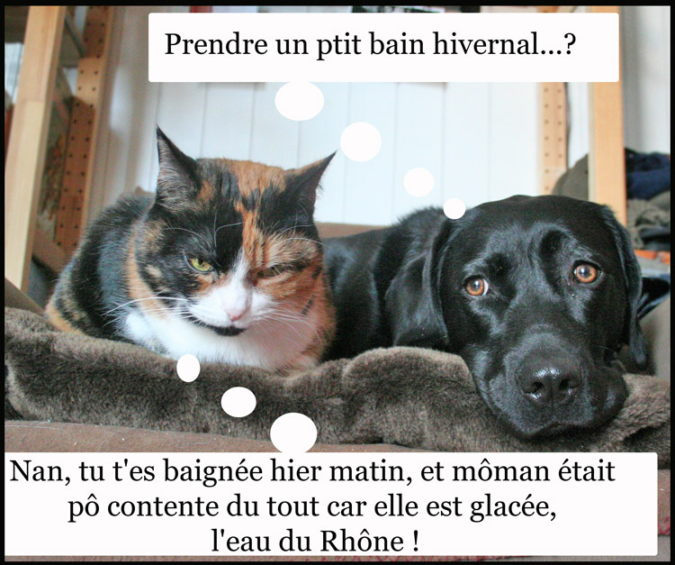Image h�berg�e par Casimages.com : votre h�bergeur d images simple et gratuit