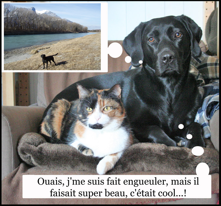 Image h�berg�e par Casimages.com : votre h�bergeur d images simple et gratuit
