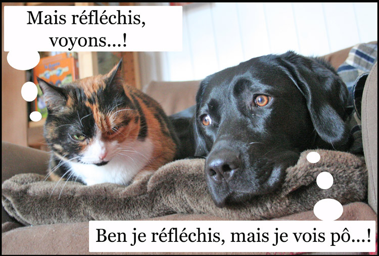 Image h�berg�e par Casimages.com : votre h�bergeur d images simple et gratuit