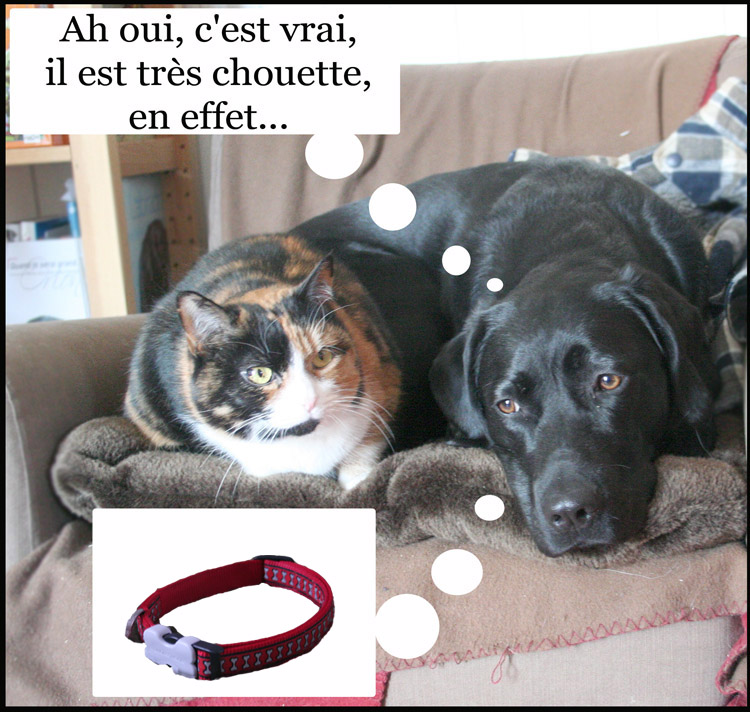 Image h�berg�e par Casimages.com : votre h�bergeur d images simple et gratuit