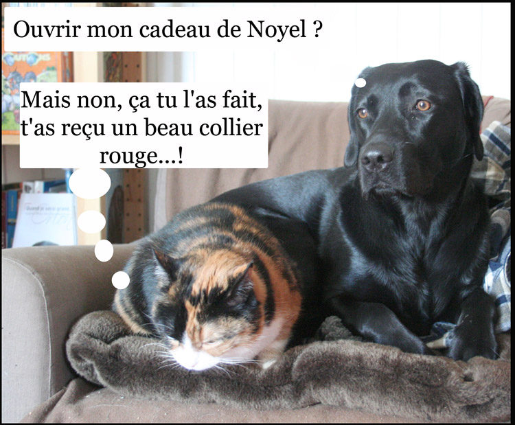 Image h�berg�e par Casimages.com : votre h�bergeur d images simple et gratuit