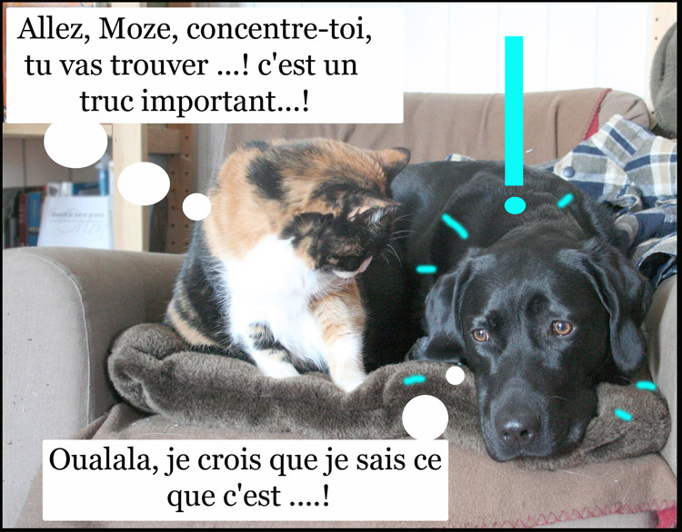 Image h�berg�e par Casimages.com : votre h�bergeur d images simple et gratuit