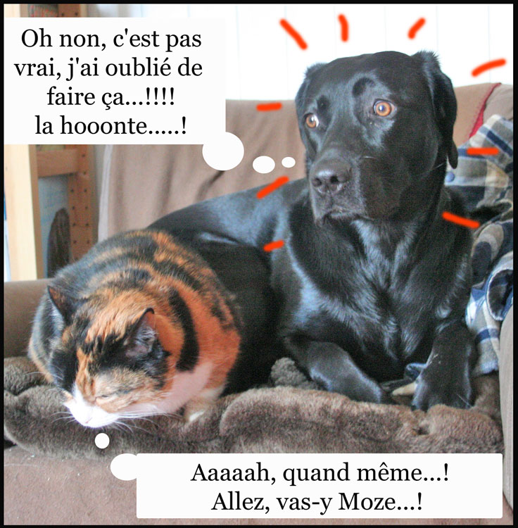 Image h�berg�e par Casimages.com : votre h�bergeur d images simple et gratuit