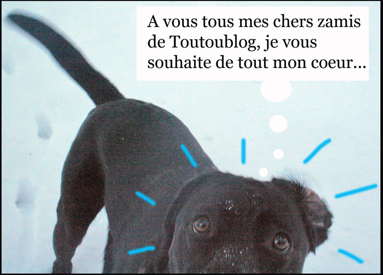 Image h�berg�e par Casimages.com : votre h�bergeur d images simple et gratuit