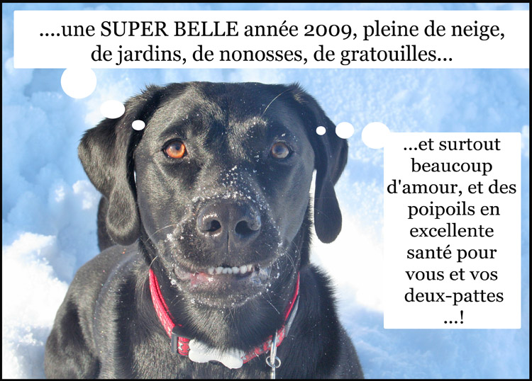 Image h�berg�e par Casimages.com : votre h�bergeur d images simple et gratuit