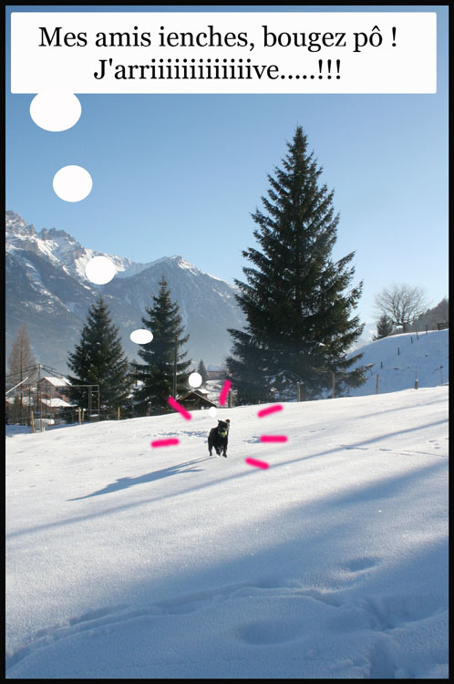 Image h�berg�e par Casimages.com : votre h�bergeur d images simple et gratuit