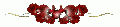 Hebergement gratuit d image et photo