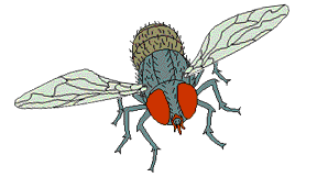 Image hébergée par Casimages.com : votre hébergeur d images simple et gratuit
