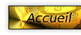 Accueil