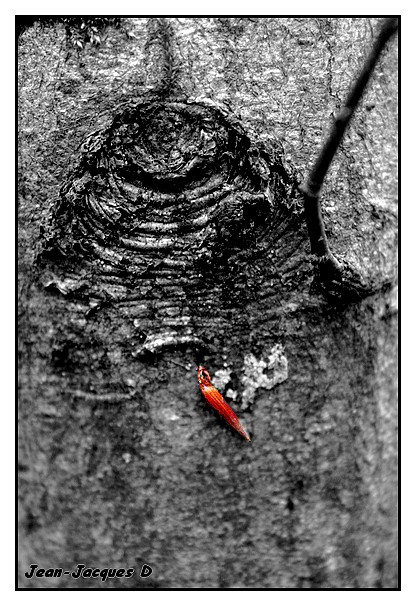 Image hébergée par Casimages.com : votre hébergeur d images simple et gratuit
