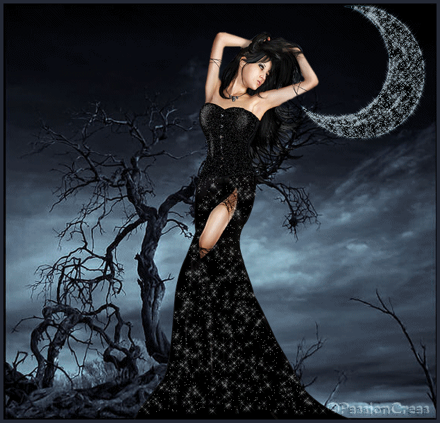 Image hébergée par Casimages.com : votre hébergeur d images simple et gratuit
