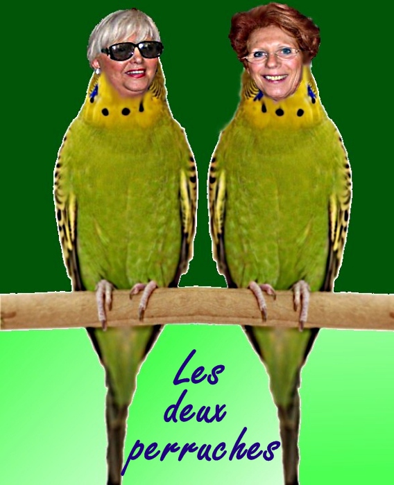http://nsm01.casimages.com/img/2009/01/25/090125075738508193049467.jpg