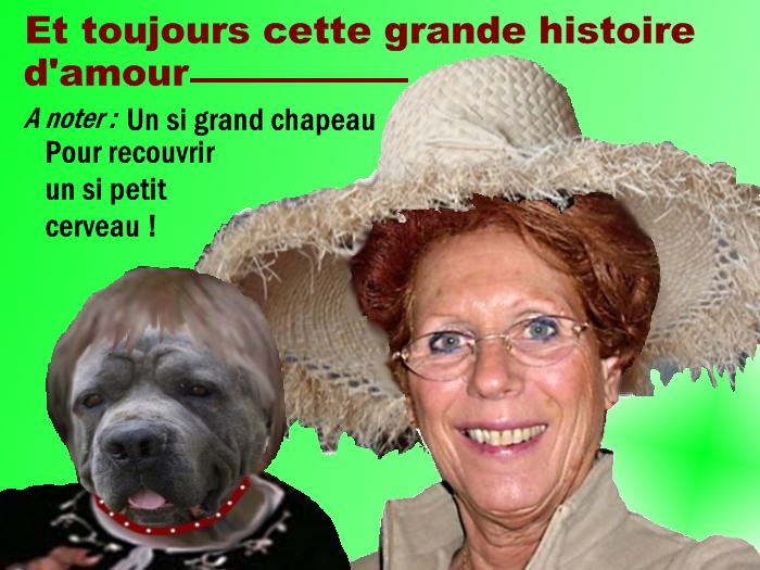 http://nsm01.casimages.com/img/2009/01/26/090126080737508193055093.jpg