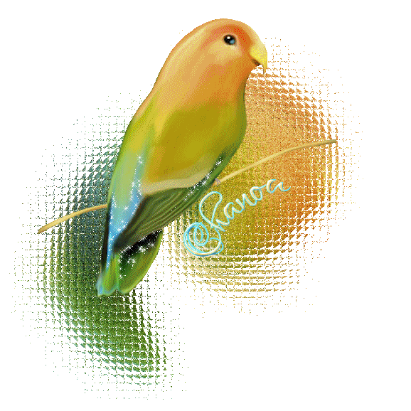 Image hébergée par Casimages.com : votre hébergeur d images simple et gratuit