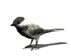 Image h�berg�e par Casimages.com : votre h�bergeur d images simple et gratuit