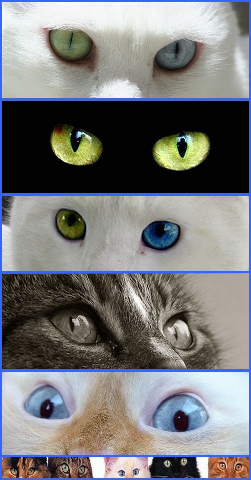 Image hébergée par Casimages.com : votre hébergeur d images simple et gratuit