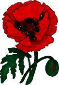 fleur133