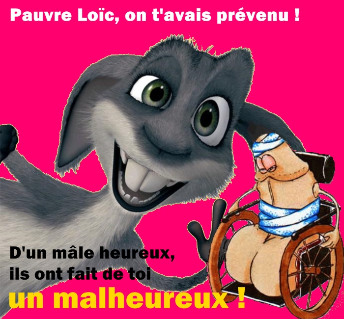 http://nsm01.casimages.com/img/2009/01/30/090130052523508193076390.jpg