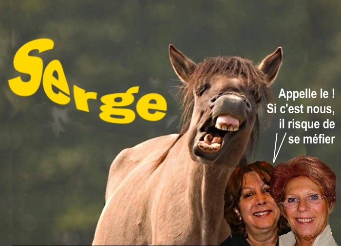 http://nsm01.casimages.com/img/2009/01/30/090130052539508193076392.jpg