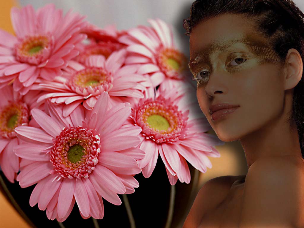 Image h�berg�e par Casimages.com : votre h�bergeur d images simple et gratuit