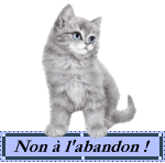 voir l'image en taille réelle