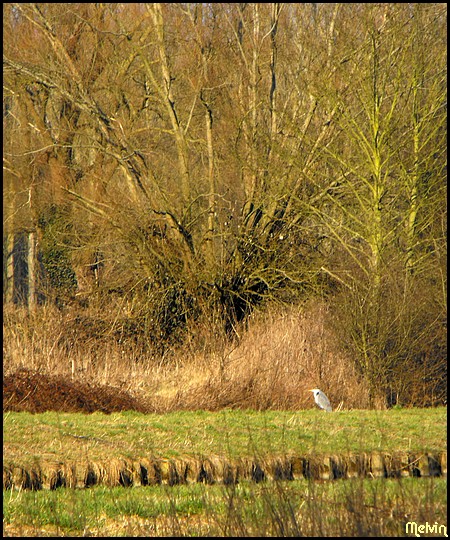 Image hébergée par Casimages.com : votre hébergeur d images simple et gratuit