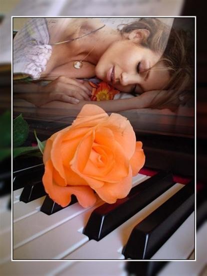 Image hébergée par Casimages.com : votre hébergeur d images simple et gratuit