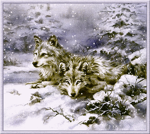Image hébergée par Casimages.com : votre hébergeur d images simple et gratuit