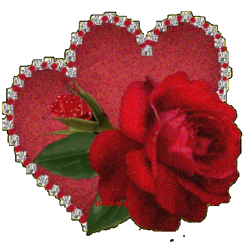 Image h�berg�e par Casimages.com : votre h�bergeur d images simple et gratuit