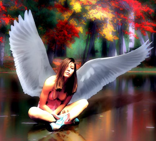 Image hébergée par Casimages.com : votre hébergeur d images simple et gratuit
